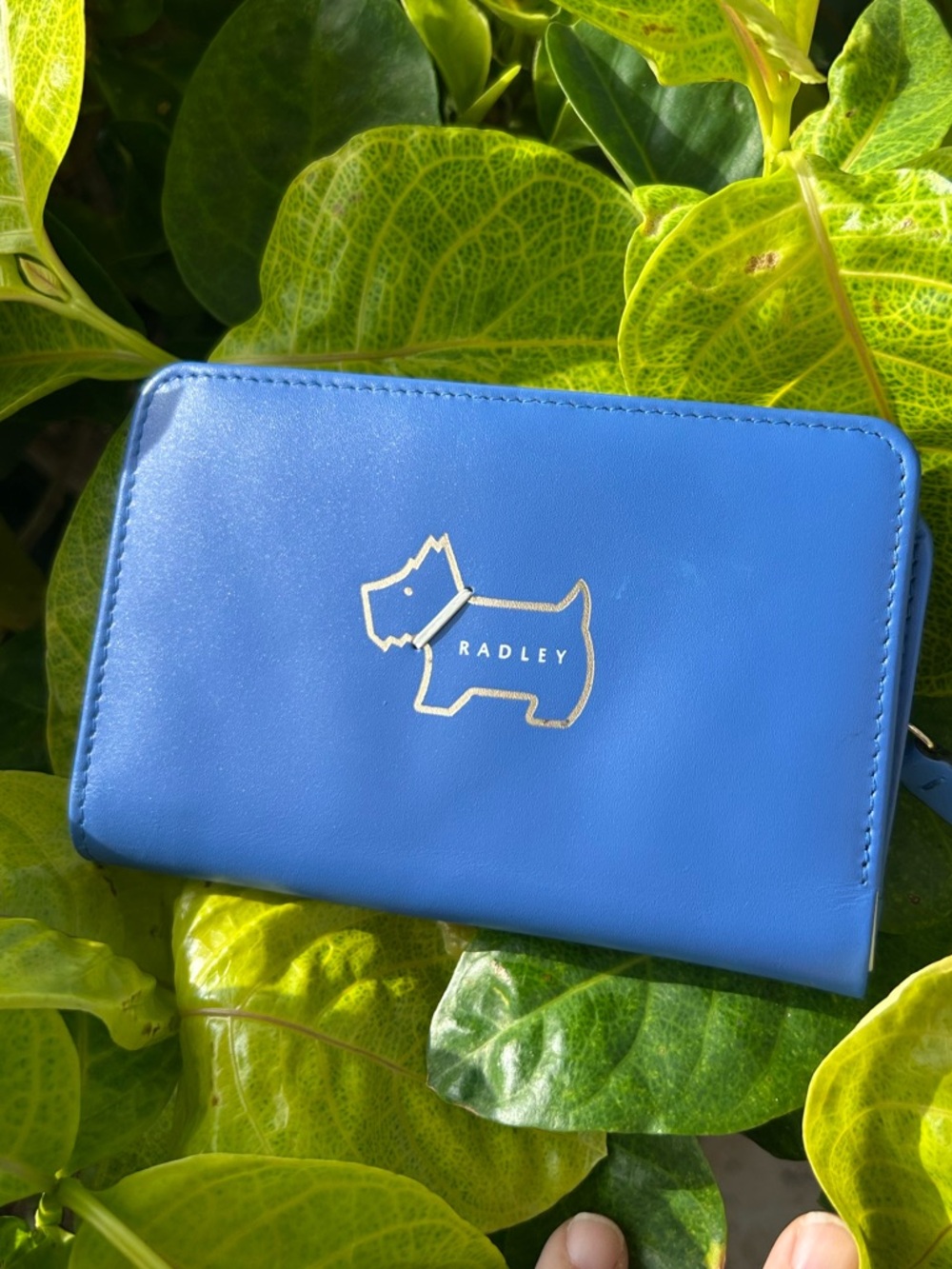 RADLEY LONDON heritage fog outline bifold blue wallet classic